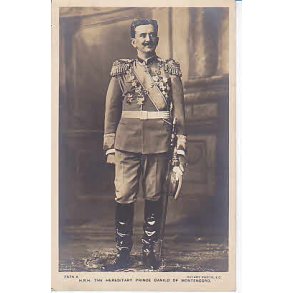 The Hereditary Prince of Montenegro