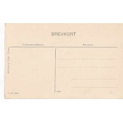 Nikolaus - Konge af Montenegro