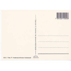 Kongafamiljen p&aring; Sveriges Nationaldag.