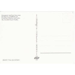 Kongafamiljen p&aring; Sveriges Nationaldag.