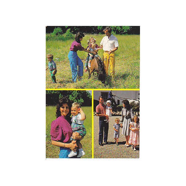 Svenska Kungliga Familien p&aring; Soliden.