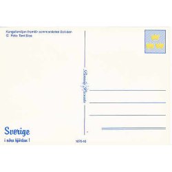 Svenska Kungliga Familien p&aring; Soliden.