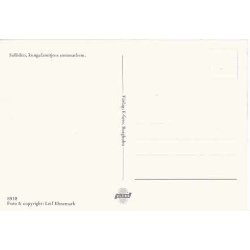 Svenska Kungliga Familien p&aring; Soliden.