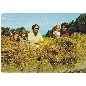 Svenska Kungliga Familien på Soliden.