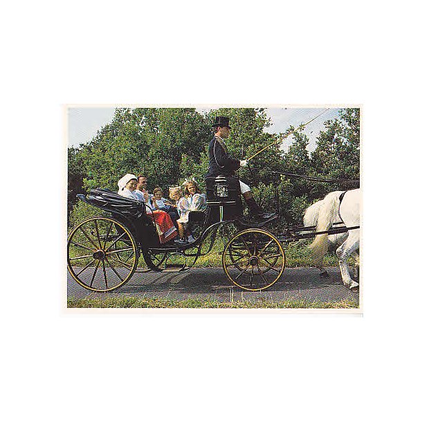 Svenska Kungliga Familien.