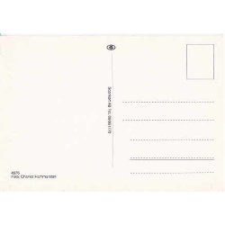 Svenska Kungliga Familien.