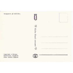 Svenska Kungliga Familien p&aring; Soliden.