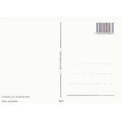 Svenska Kungliga Familien p&aring; Soliden.