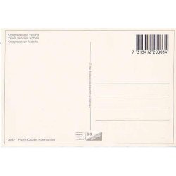 Kronprinsessan Victoria