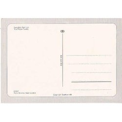 Svenska Kungliga Familien.