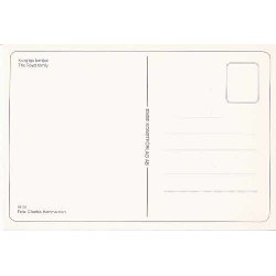 Svenska Kungliga Familien.