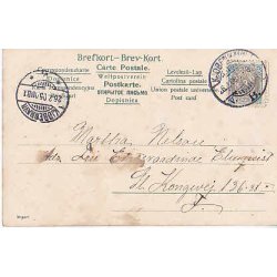 Prins Carl och Prinsessan Ingeborg - Prinsessorna.