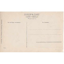 Prins Carl Gustaf och Sigvard