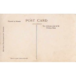 The Children of The King and Queen Belgians