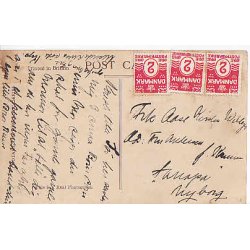 The Children of The King and Queen Belgians