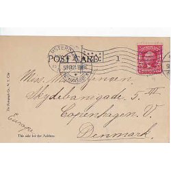 The Roosevelt Family