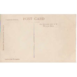 The Crown Prince of Germany