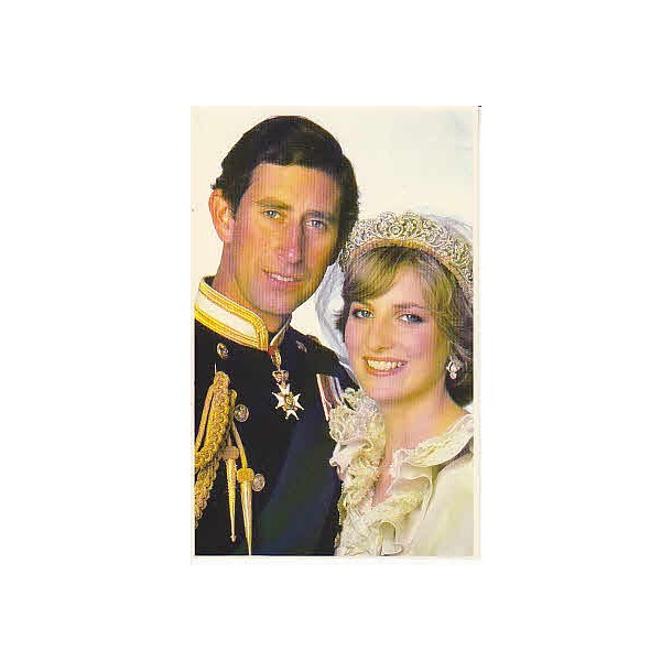 The Prince and Princess af Wales.