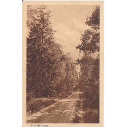 TIDSVILDELEJE p Postkort