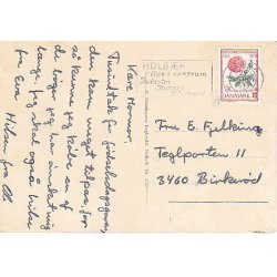 Det gamle r&aring;dhus og Museet.