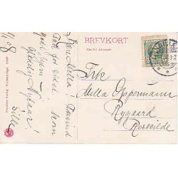 Parti fra &Oslash;stre Anl&aelig;g - Holb&aelig;k