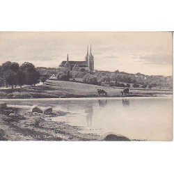 Roskilde Domkirke. E.F.102