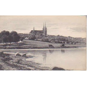 Roskilde Domkirke. E.F.102