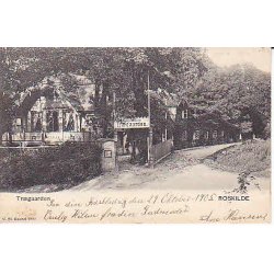 Tr&aelig;gaaden - Roskilde . St.2909