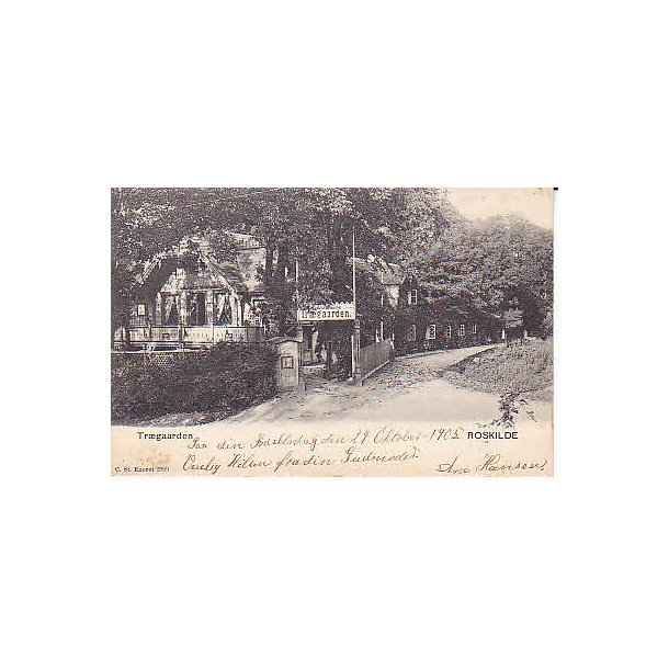 Tr&aelig;gaaden - Roskilde . St.2909