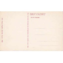 Roskilde Domkirke  - J.B.17797