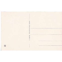 Roskilde Domkirke - St.31