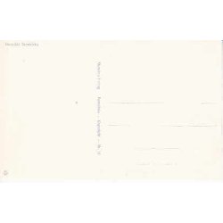 Roskilde Domkirke - St.13