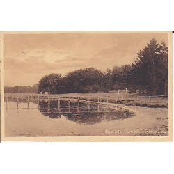 Parti fra Boserup Skov - J.B.33224