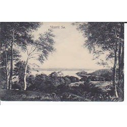 Julemrke 1908 p Postkort