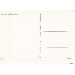 Sommer ved Sejr&oslash; Bugt. H.M.8113