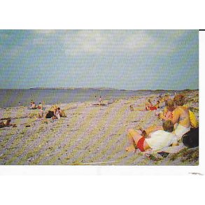 Sommer ved Sejrø Bugt. H.M.8113