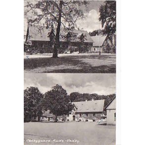 Vedbygaard - Ruds-Vedby H.B. 96728