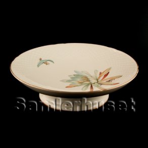 Kaktus Kagefad p fod.