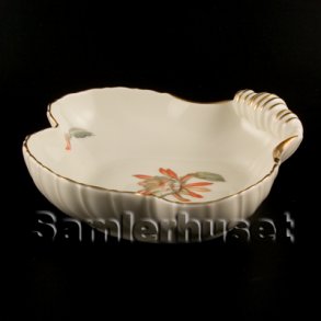 Kaktus Kagefad Musling.