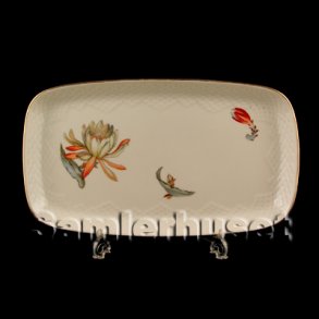 Kaktus Bakke til sukker og Flde