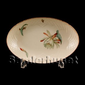 Kaktus Asiet 23x15 cm.