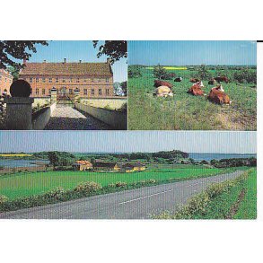 Motiver fra Selsø ved Skibby - G. u/n