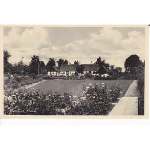 Anlget - Borup - S.6303