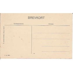 Parti fra Borup - J.N.6597