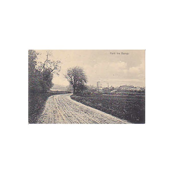 Parti fra Borup - J.N.6597