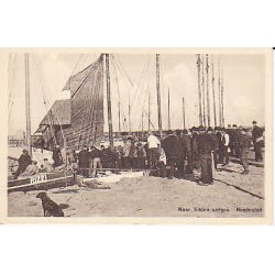 N�r silden s�lges - Hundested - J.46012