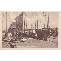 N�r silden s�lges - Hundested - J.46012