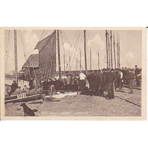 N�r silden s�lges - Hundested - J.46012