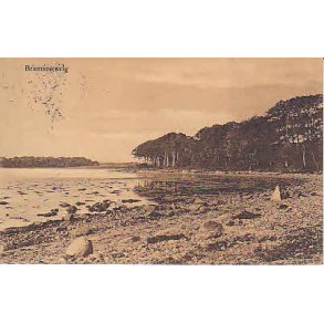 Bramsn&aelig;svig - F.79