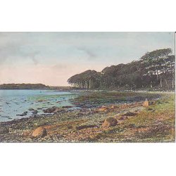 Bramsn&aelig;svig - St. 2928